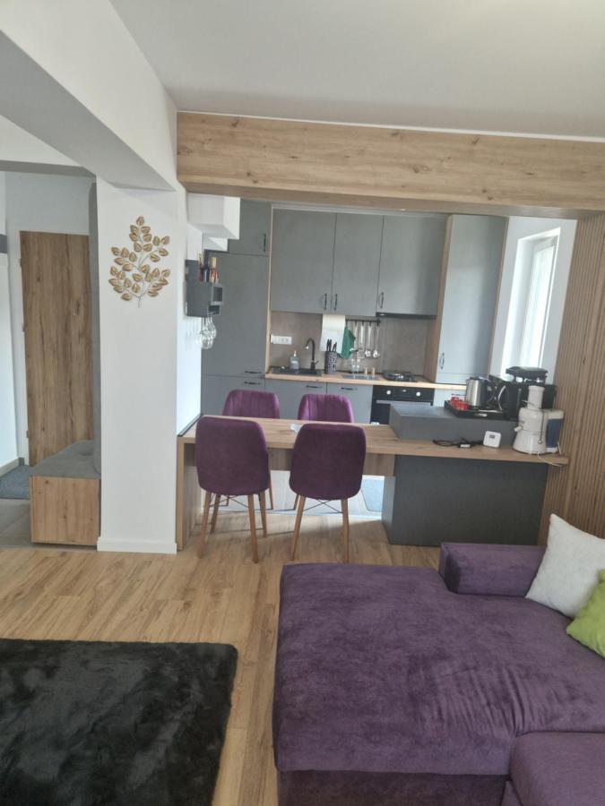 Casa Mov Leilighet Braşov Eksteriør bilde